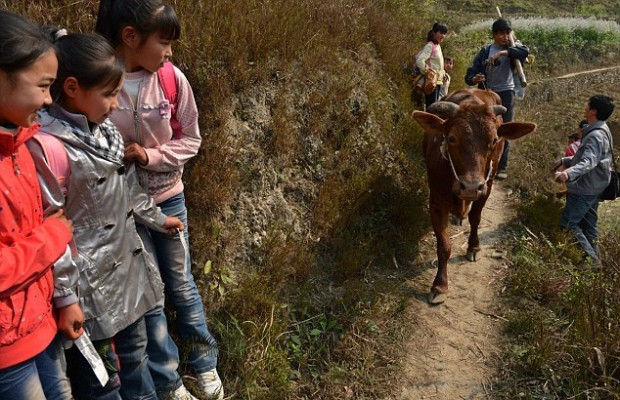 china-school-path-6