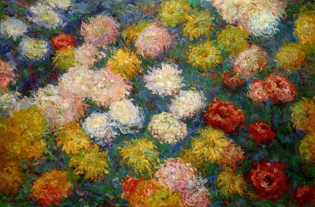 568986_chrysanthemums-1897-1 (2)