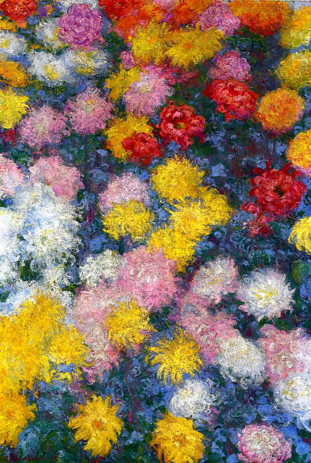 568987_chrysanthemums-1897 (3)