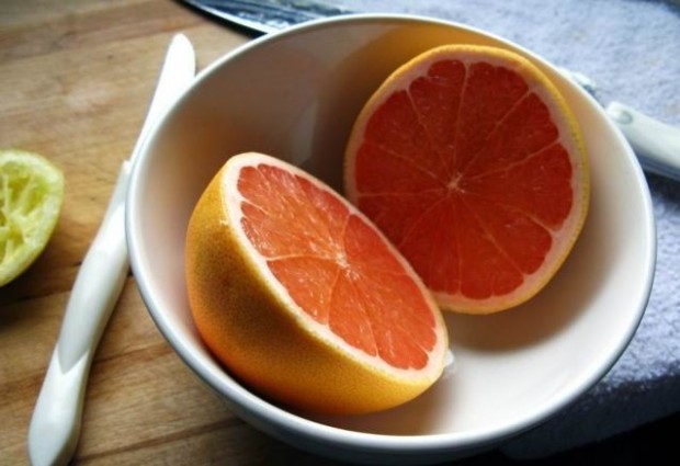 Grapefruit-orizontia