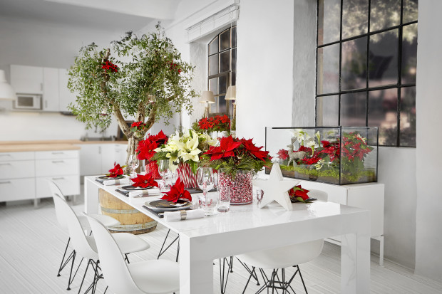 2015-poinsettia-modern-dining-room-en