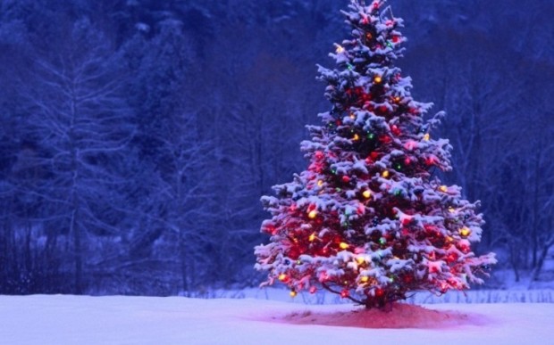 Free-Wallpaper-Christmas-Tree-1024x576-735x459