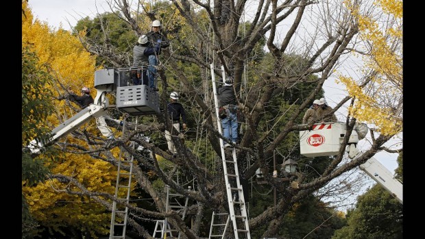 REUTERS-Toru-Hanai-TOKYO