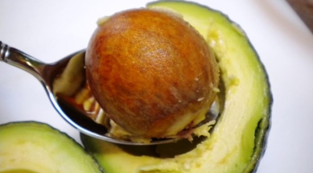 avocado-koukoutsi-128597-696x385