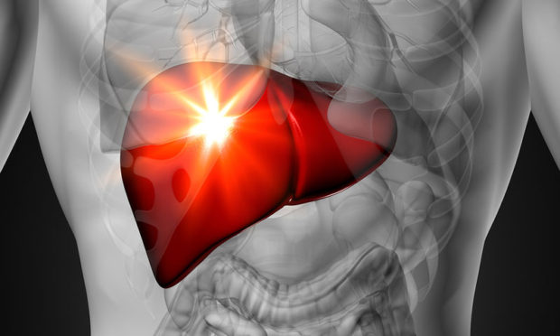 bigstock-liver-male-anatomy-of-human-66113698-1